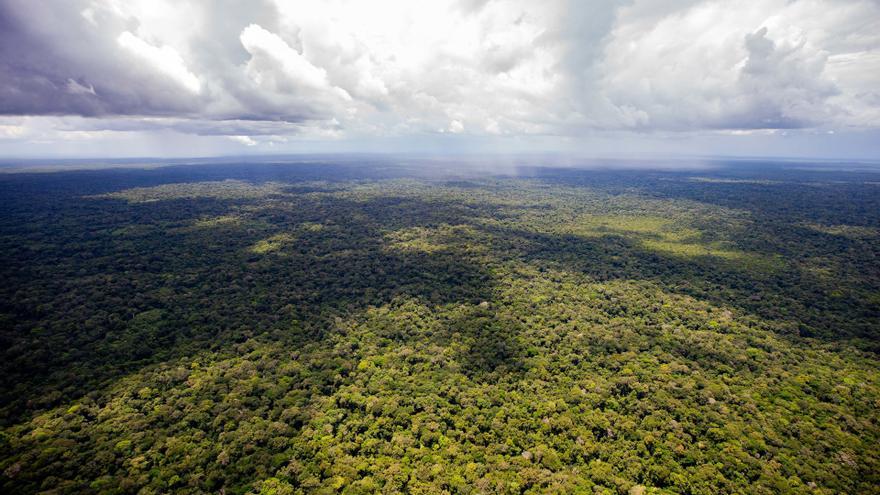 Vista de l'Amazones, a la frontera entre Brasil i Colòmbia