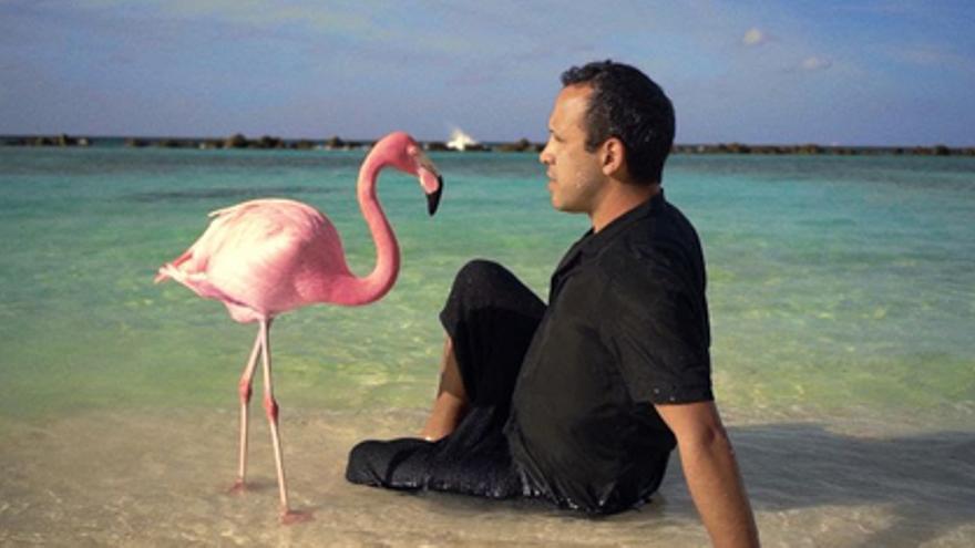 The Mystery of the Pink Flamingo