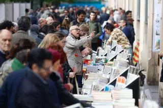 En imágenes | Miles de personas desafían al cierzo en el un Día del Libro de récord