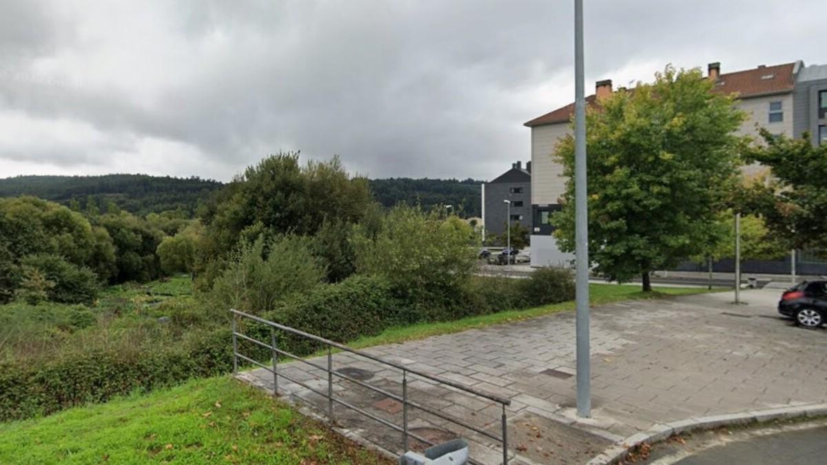 El animal terminó dirigiéndose hacia la zona boscosa del huerto de Santa Marta