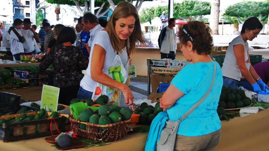 Mogán busca fondos en Bruselas para un mercado de frutas tropicales