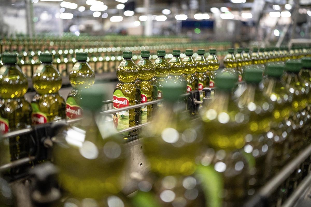 Deoleo apuesta por crecer en EEUU e India para generar 32 millones de euros de Ebitda adicional en 2028.