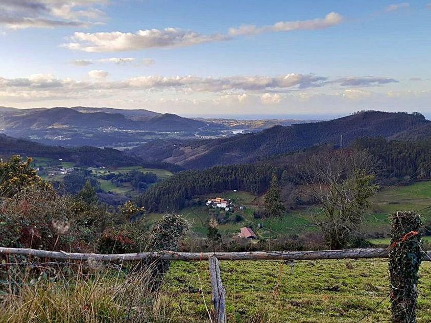 Impulso a la gestión de masas forestales en el Principado