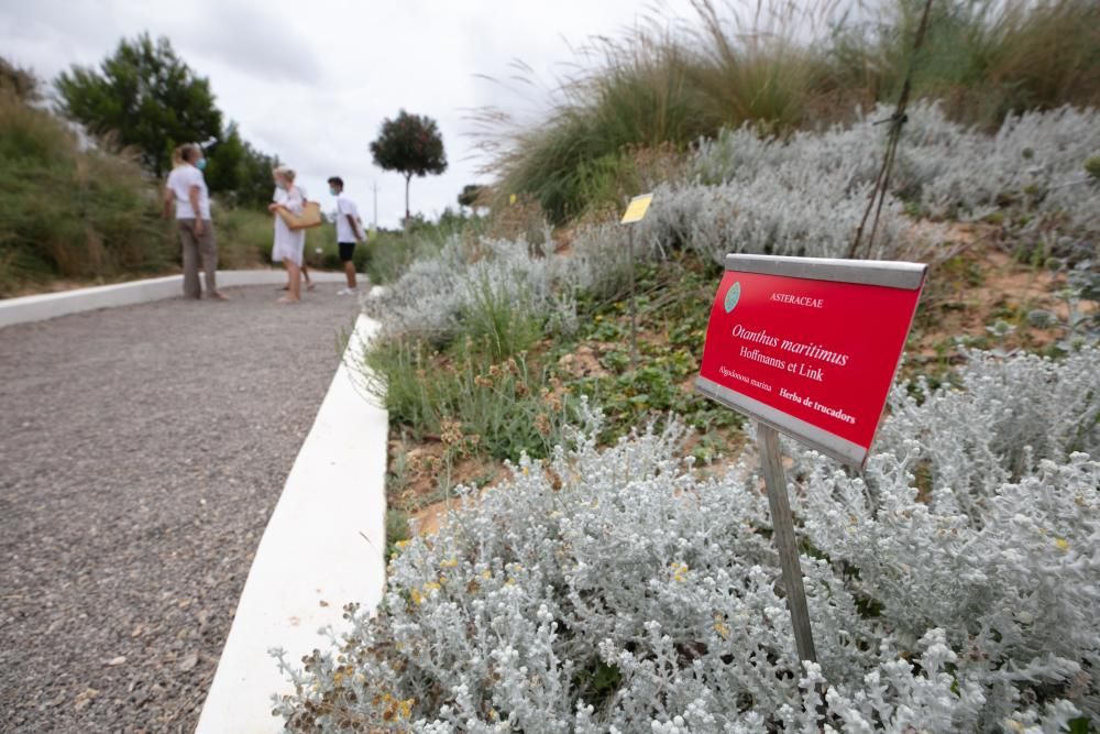 Abre sus puertas en Sant Rafel el primer jardín botánico y biotecnológico de las Pitiusas con vegetación de ambas islas