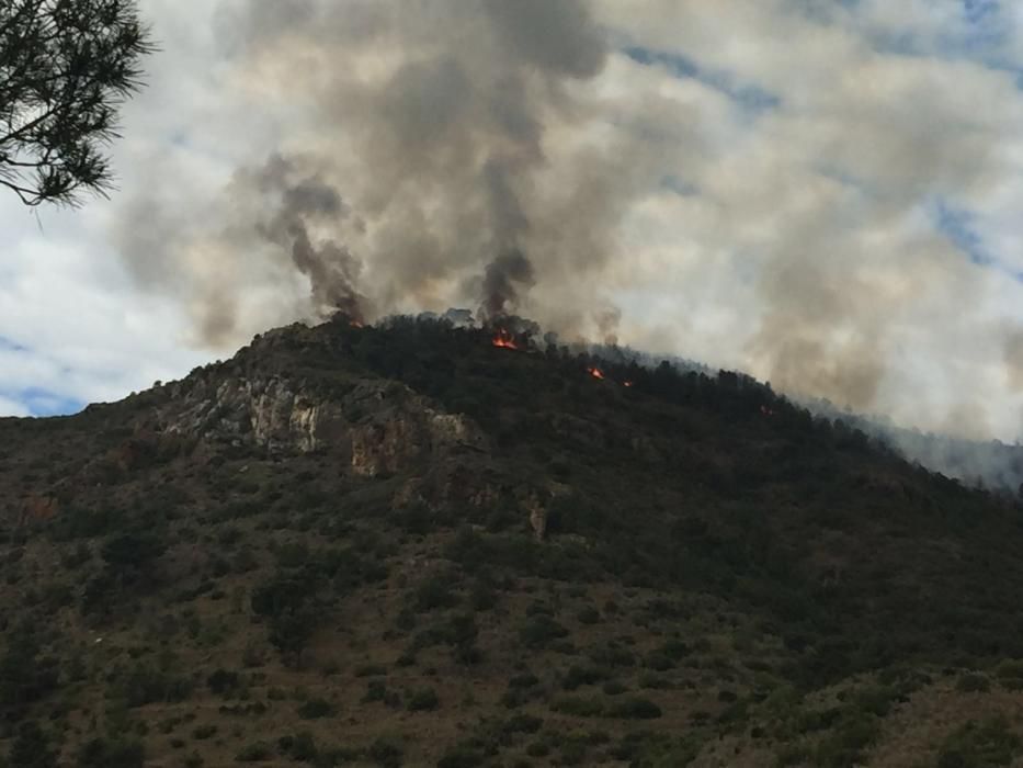 Incendio forestal en Benifairó de les Valls.