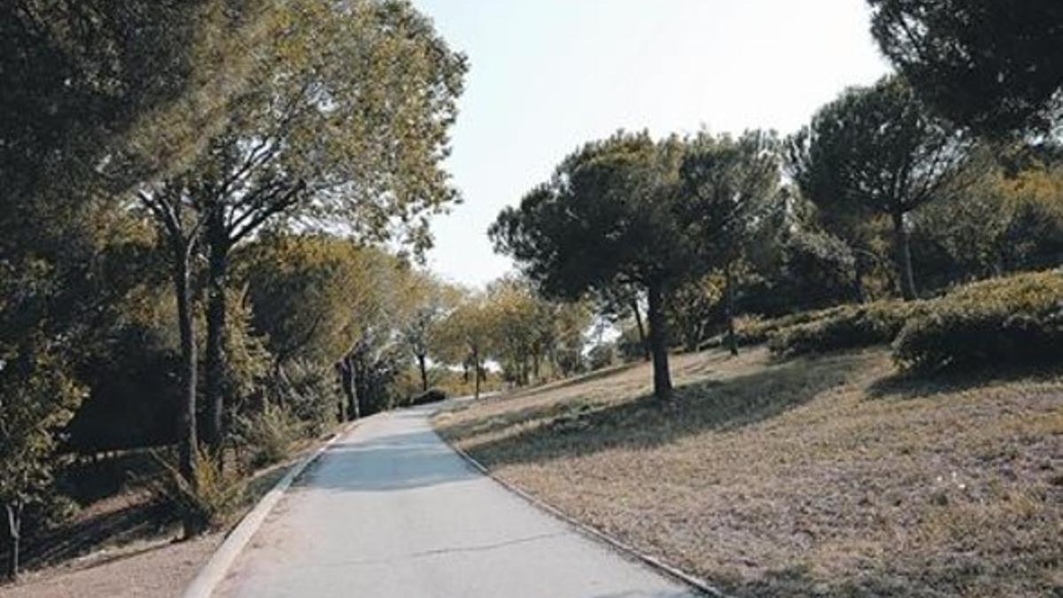 Terrenos junto al parque de la Oreneta, actualmente llenos de árboles, en los que se prevé construir pisos.