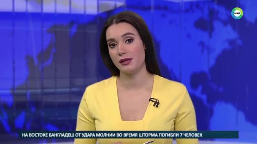 Un perro irrumpe en un plató de televisión ruso durante una emisión en directo
