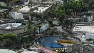 Las seis obras clave del nuevo plan del ciclo integral del agua de Las Palmas de Gran Canaria