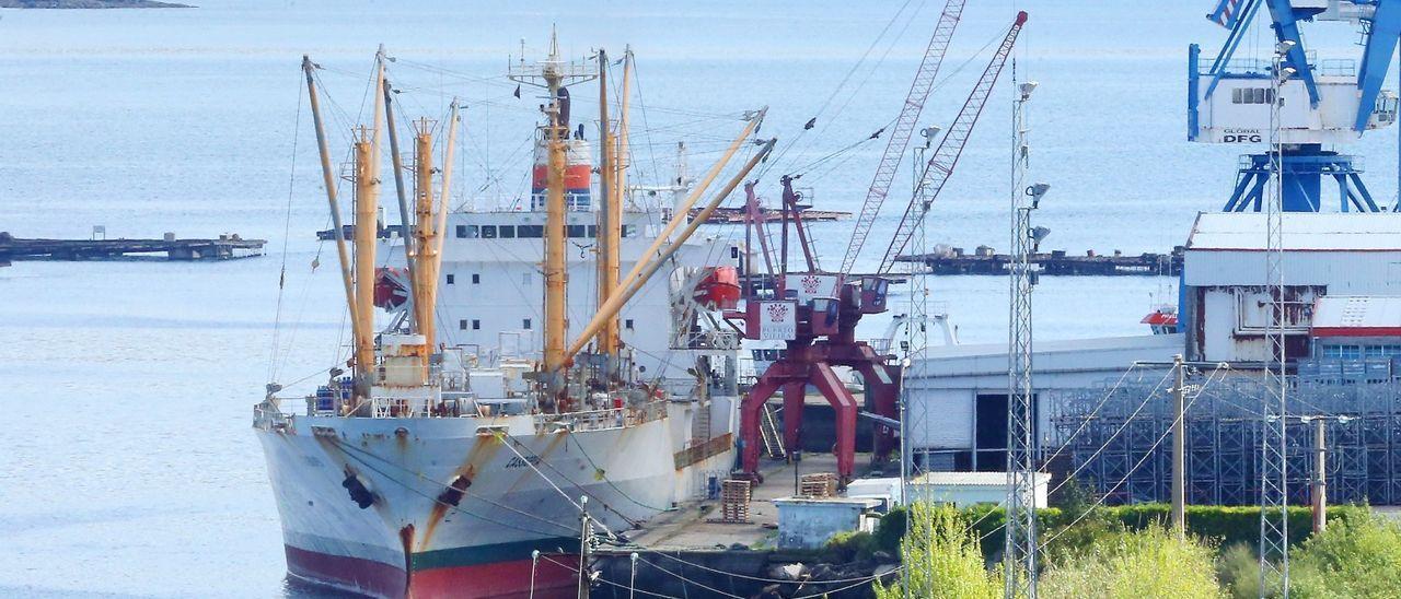 Descarga de pescado de Malvinas por parte de un reefer, en Puerto Vieira.