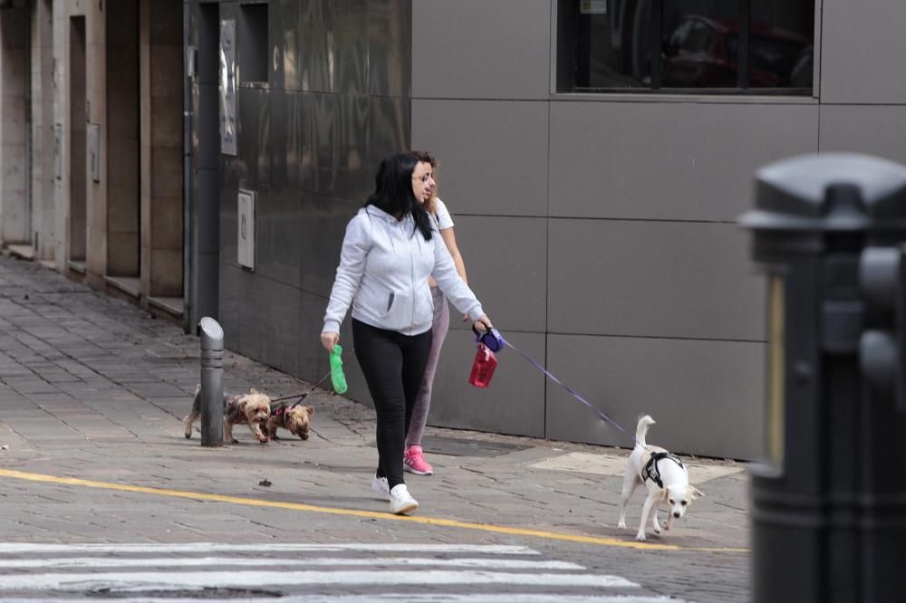 Reportaje: Gente con mascotas