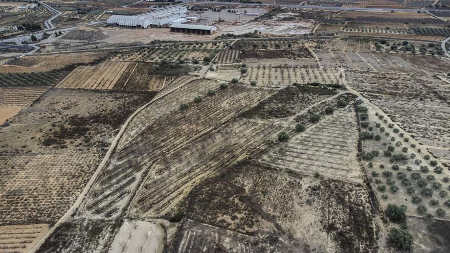 Terrenos donde va la futura megaplanta fotovoltaica de Villar del Arzobispo dentro del proyecto Godelleta 6. | GERMÁN CABALLERO