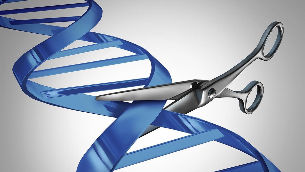 La técnica CRISPR se conoce como el &quot;cortapega&quot; genético