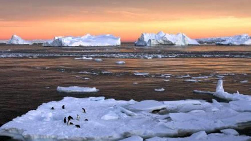 La temperatura al Pol Nord ha caigut un 50% des del 1979.