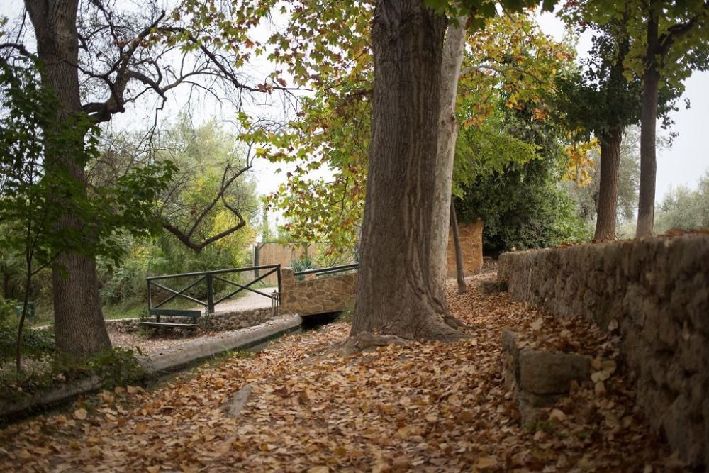 Fuentes del Marques: El otoño nace en Caravaca