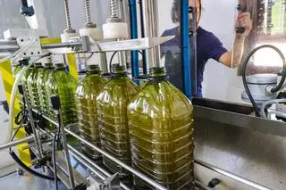 La subida del aceite de oliva lleva al sector provincial a unas cifras históricas de negocio de 64 millones
