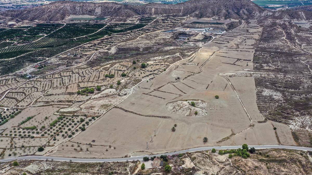 Imagen de los terrenos previstos para la macroplanta de tratamiento de estiércol sobre 130.000 metros cuadrados. En primer término la carretera comarcal a Torreagüera desde Torremendo. Los bancales sin cultivar son las fincas previstas para el proyecto. Al fondo la sierra del Cristo.