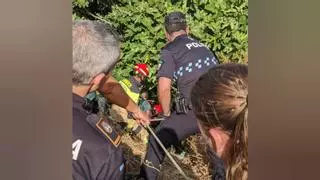 Los bomberos de Puente Genil rescatan con vida a una mujer desaparecida gracias a la unidad canina