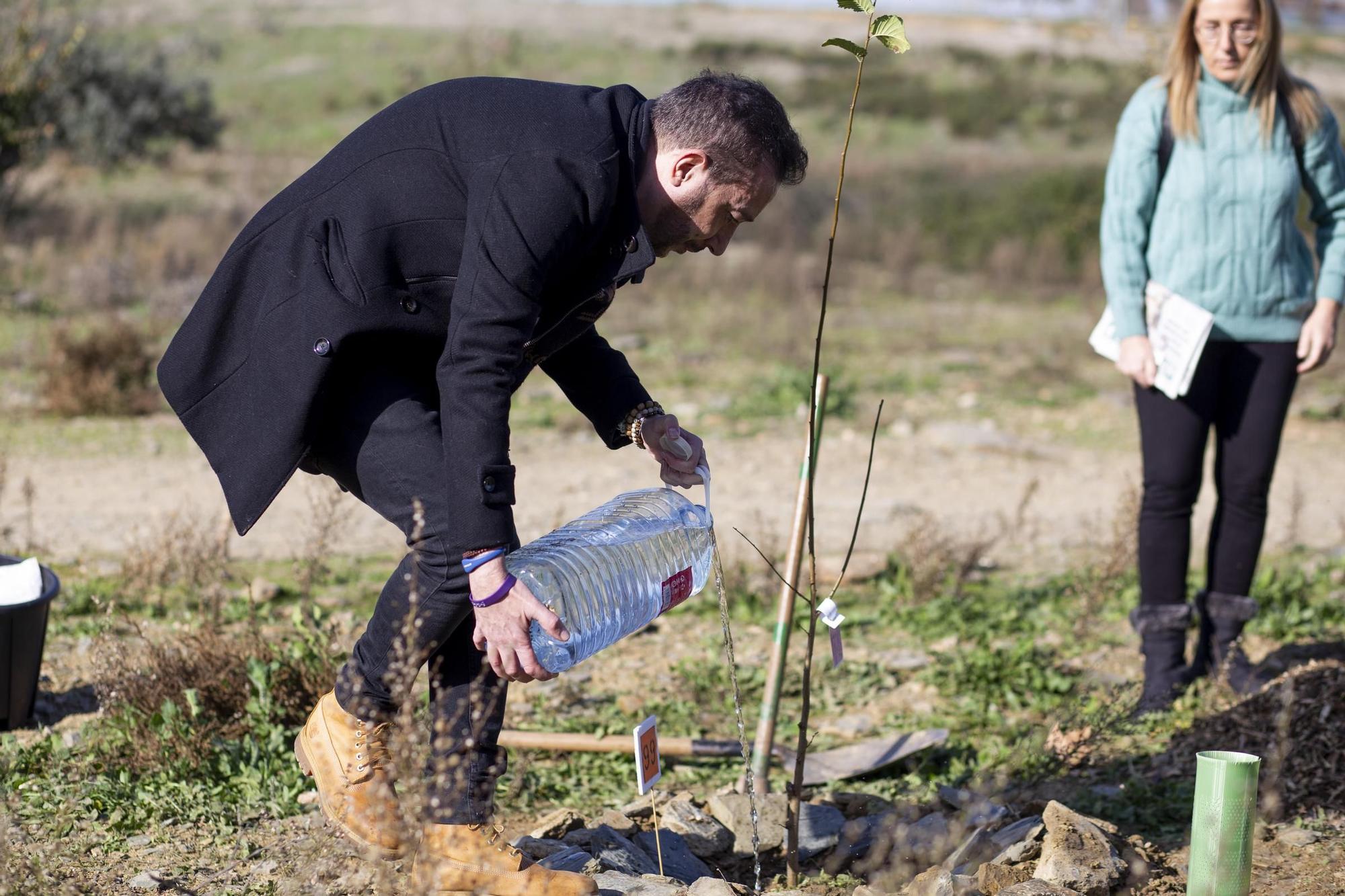 GALERÍA | Así ha sido la plantación de olmos en Cáceres El Viejo