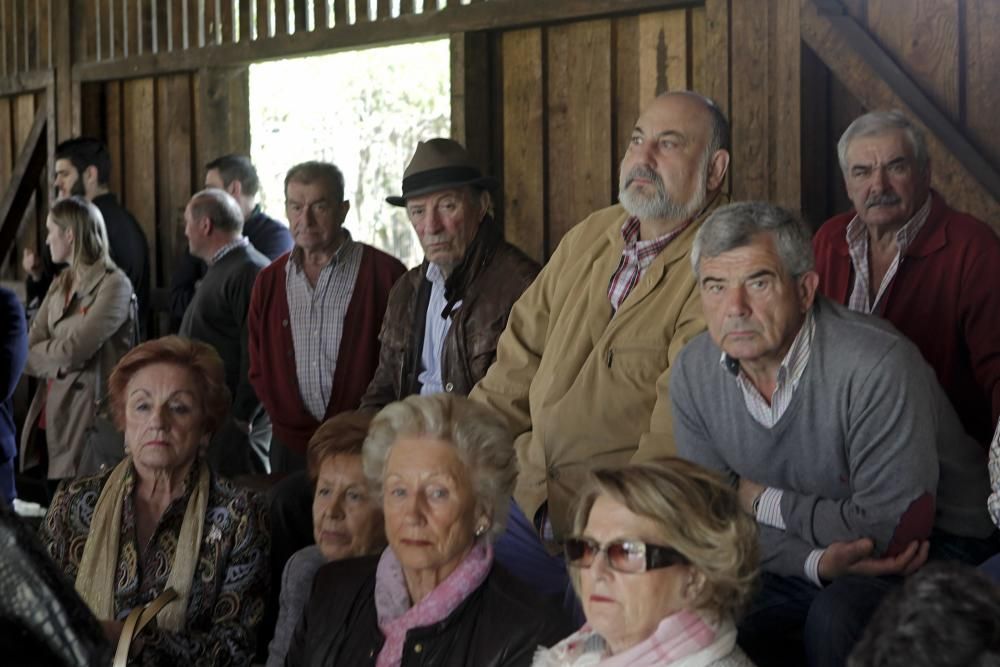 Presentación de la cosecha 2015 de sidra