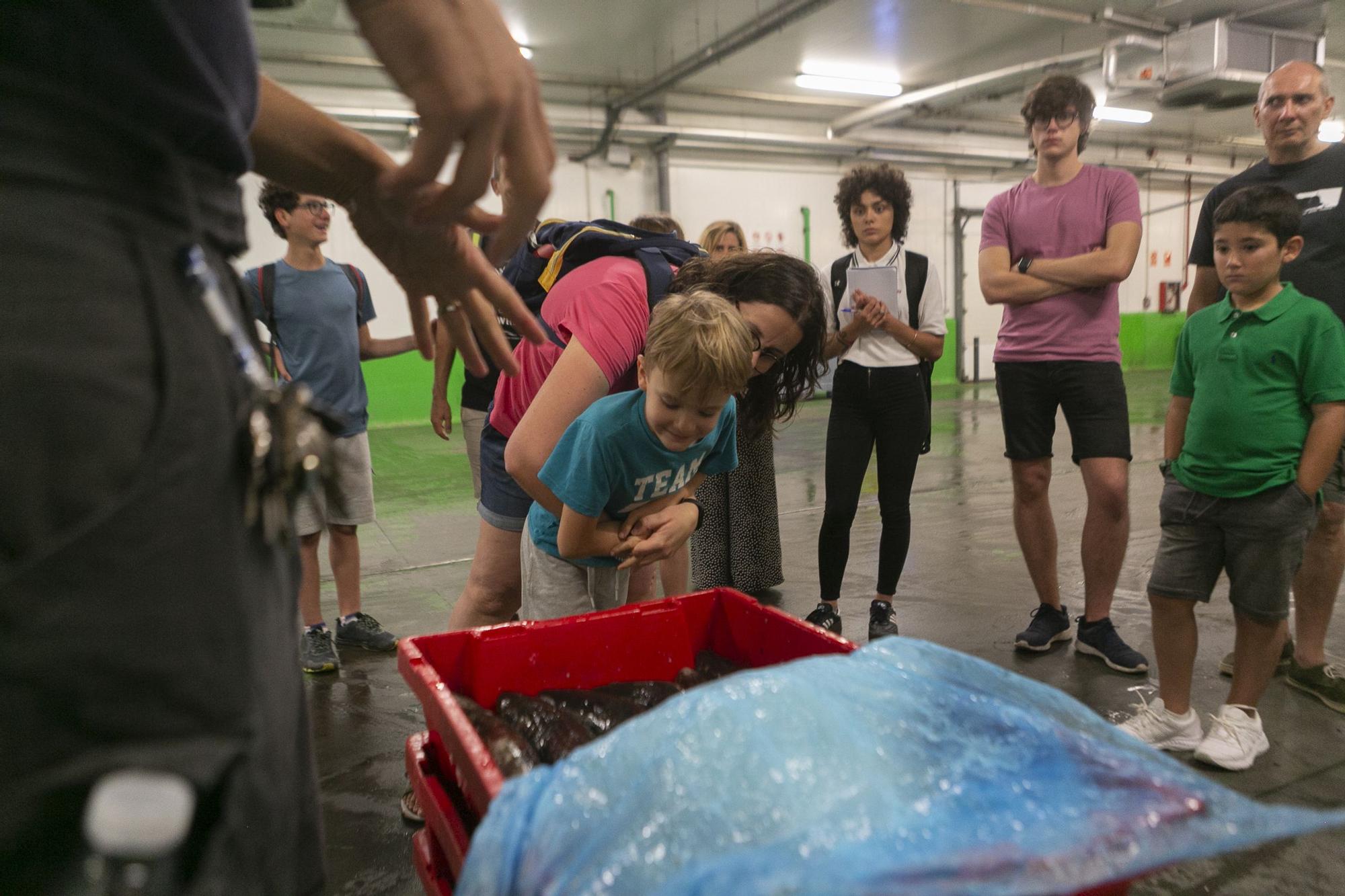 EN IMÁGENES: Vuelven las visitas guiadas a la rula de Avilés