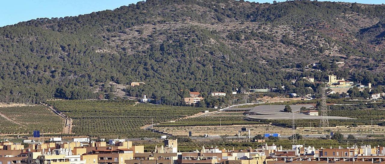 La montaña de Romeu es la masa forestal más próxima a un núcleo urbano en Sagunt. | DANIEL TORTAJADA