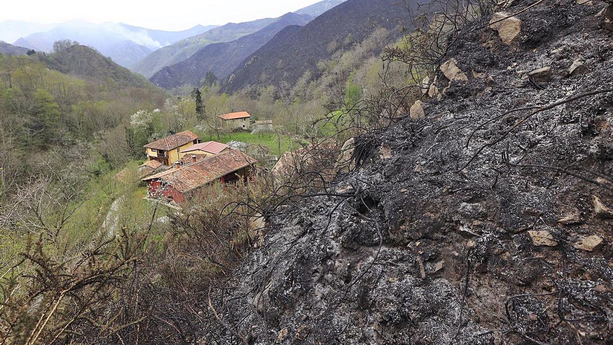 Monte calcinado en las proximidades de casas de El Pedroso (Piloña)