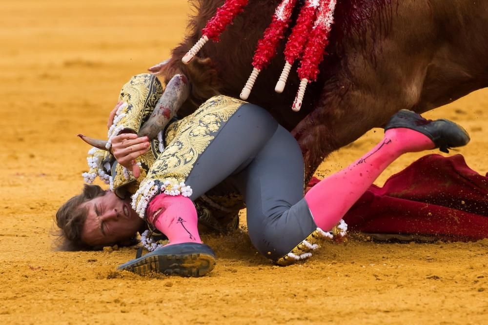 Así fue la grave cornada a Román en La Maestranza