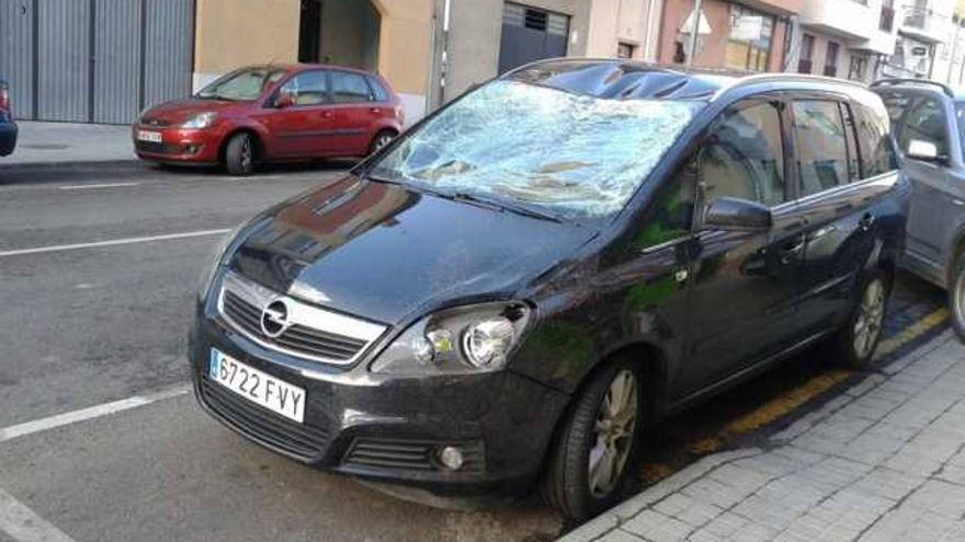 Un gran jabalí aparece muerto en la cuneta de la carretera de Palacios de Sanabria tras impactar con un vehículo.