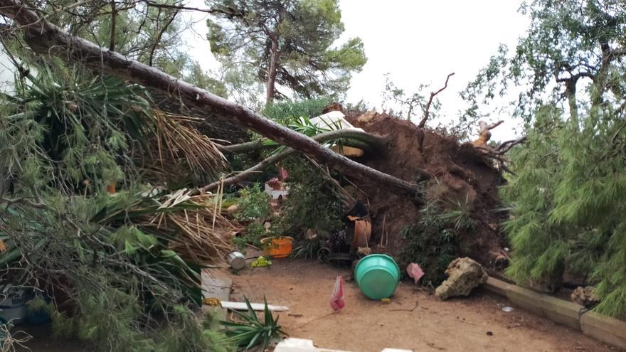 Kräftiger Regen auf Mallorca hinterlässt übervolle Sturzbäche - so geht es nun weiter