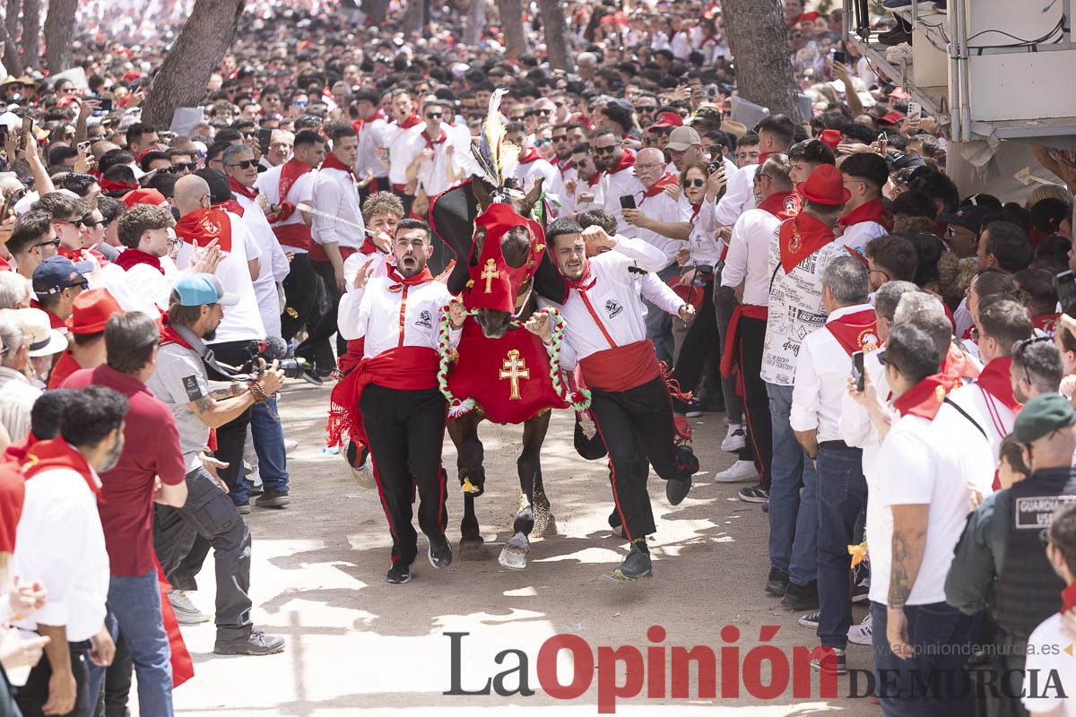 Así se ha vivido la carrera de Los Caballos del Vino en Caravaca
