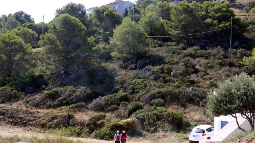 La zona on es preveun construir els 40 habitatges