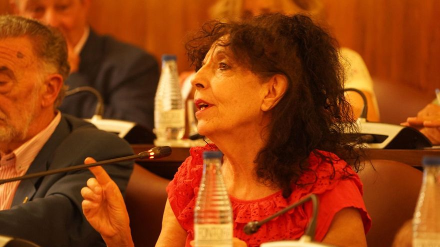 IU pide al pleno de la Diputación su rechazo a la imposición de aranceles por parte de EEUU