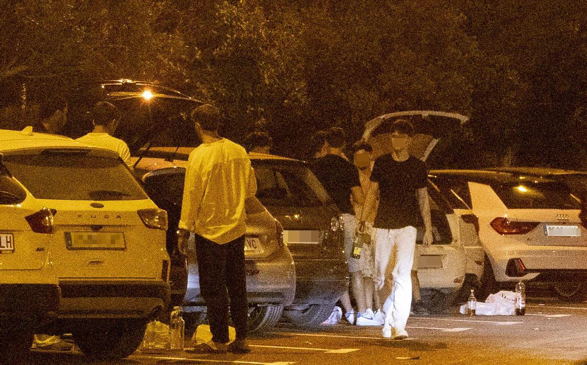 Botellón en la zona de la Albufereta en Alicante