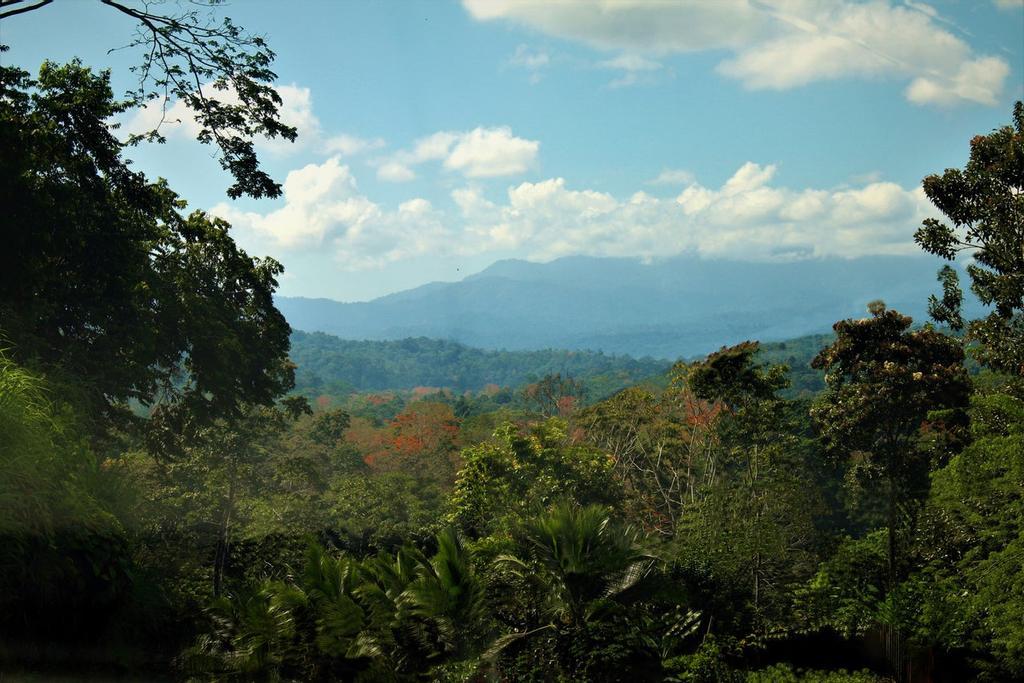 Zona de Costa Rica, Cordillera de Talamanca.