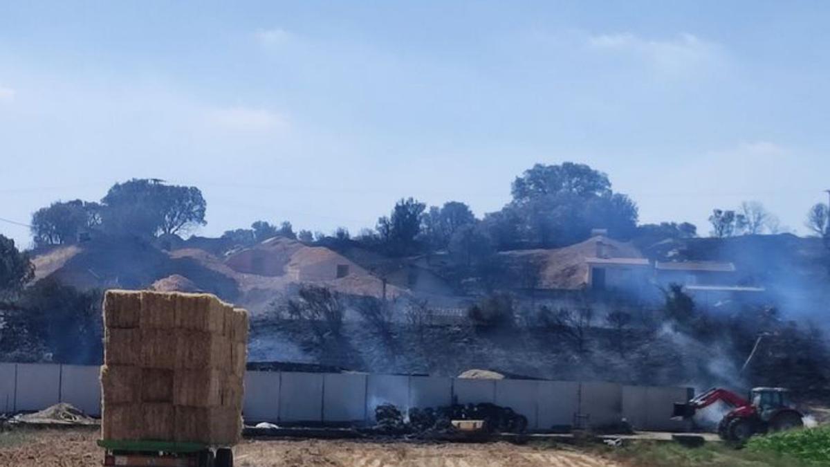 El fuego llegó a las puertas de Santibáñez de Tera y afectó a la zona de las bodegas. 