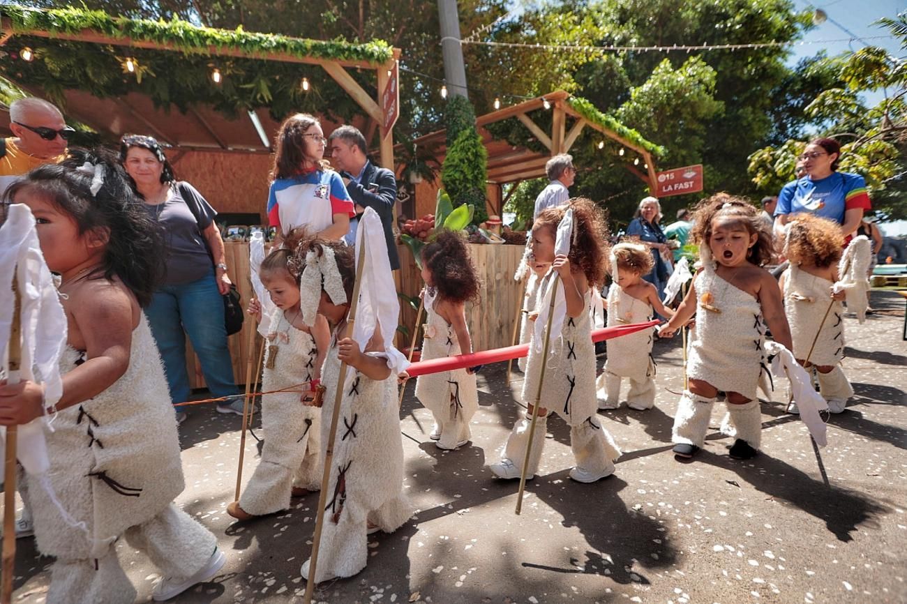 Inauguración de Agrocanarias en la Alameda del Duque de Santa Elena