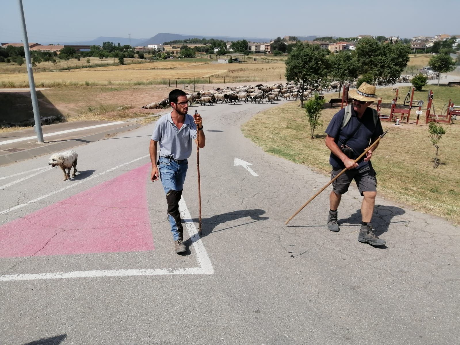 El pastor Sergi Alba iniciant la transhumància