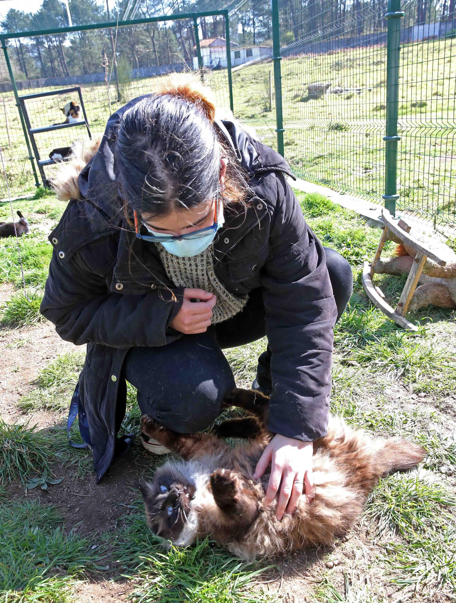 Refugio de Proyecto Gato