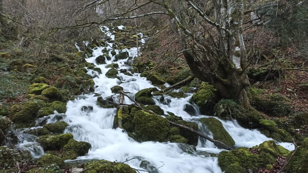 El misterioso espectáculo natural que ha explotado en la montaña de Quirós: así son Los Garrafes, ríos y cascadas de agua blanca que surgen con violencia