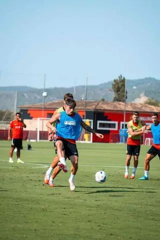 El Mallorca, ante su primer paso para el ascenso contra el Valladolid