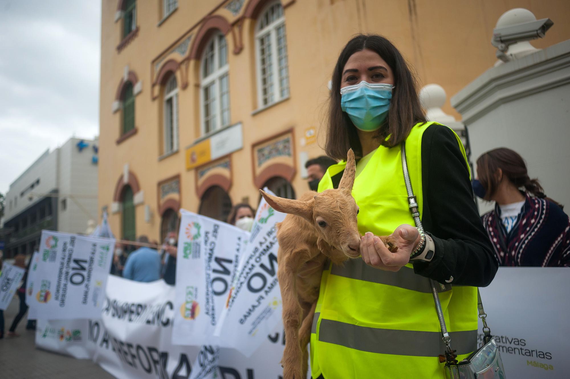 Los agricultores malagueños protestan contra la reforma del PAC