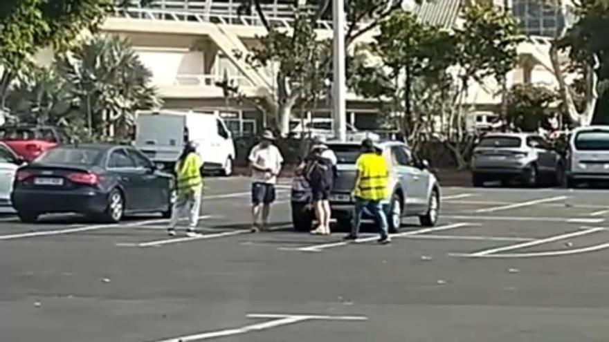 Dos gorrillas se enfrentan por una propina de unos turistas en Santa Cruz de Tenerife
