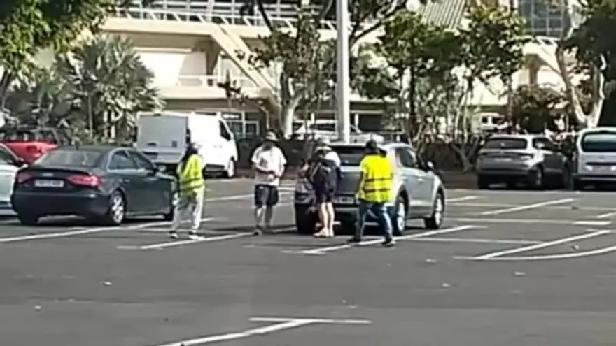 Dos gorrillas se enfrentan por una propina de unos turistas en Santa Cruz de Tenerife