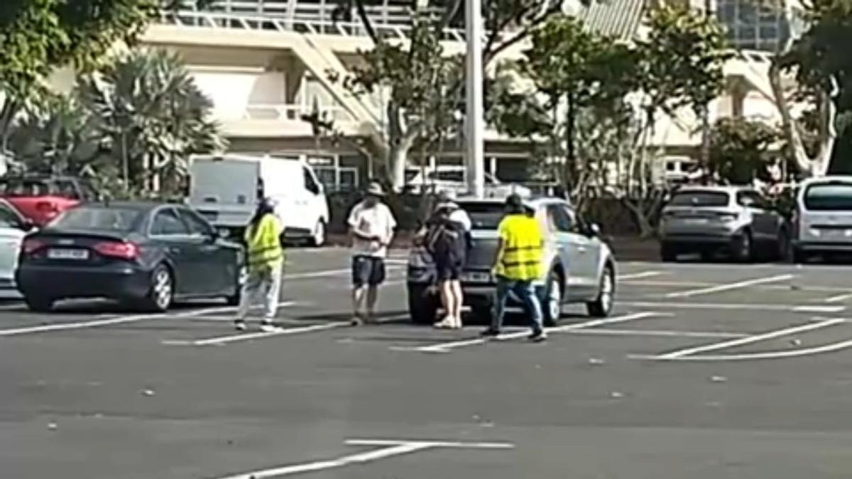 Dos gorrillas se enfrentan por una propina de unos turistas en Santa Cruz de Tenerife