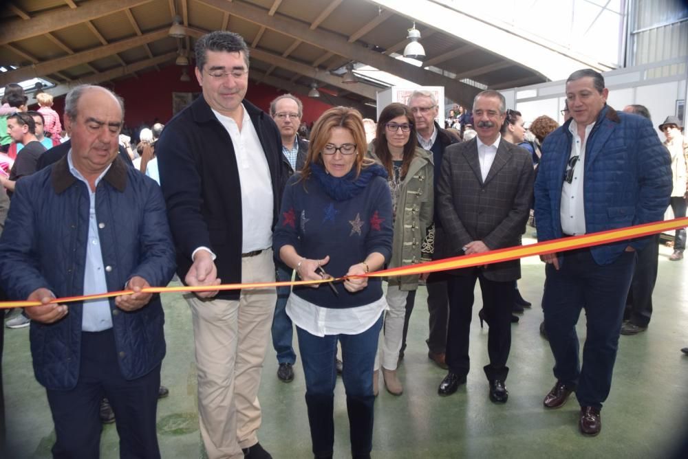 Feria del Burro y romería en San Vitero de Aliste