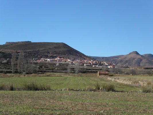 corcolilla (1).jpg