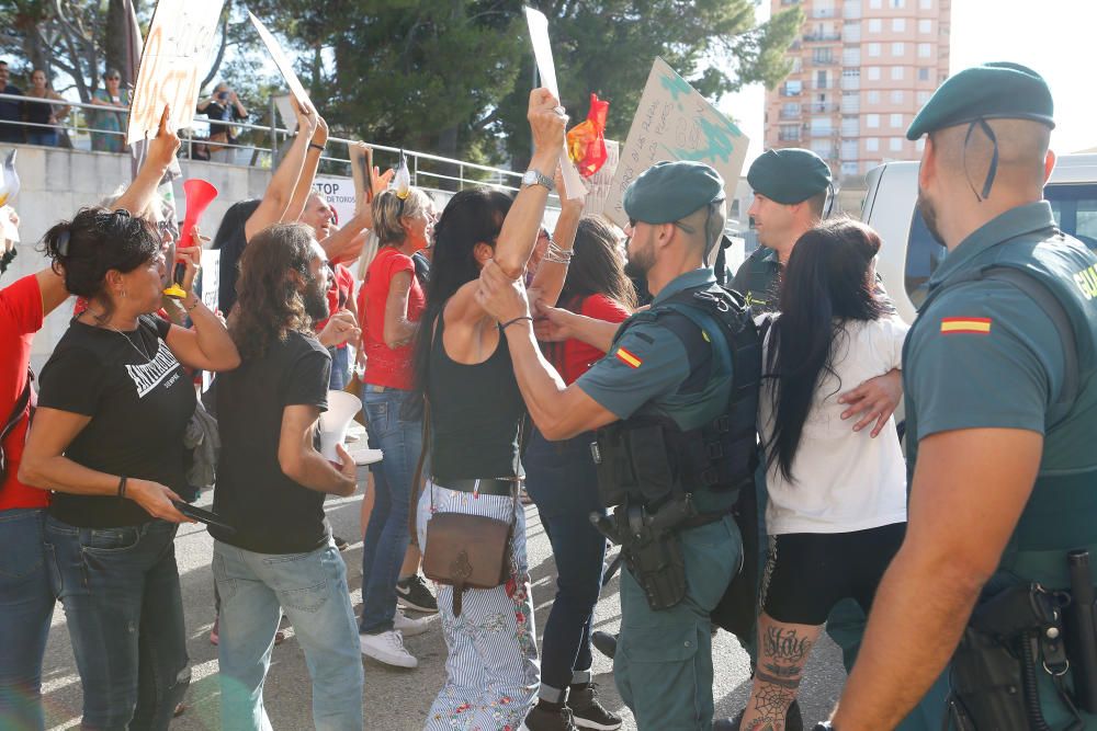 Manifestación antitaurina en Inca