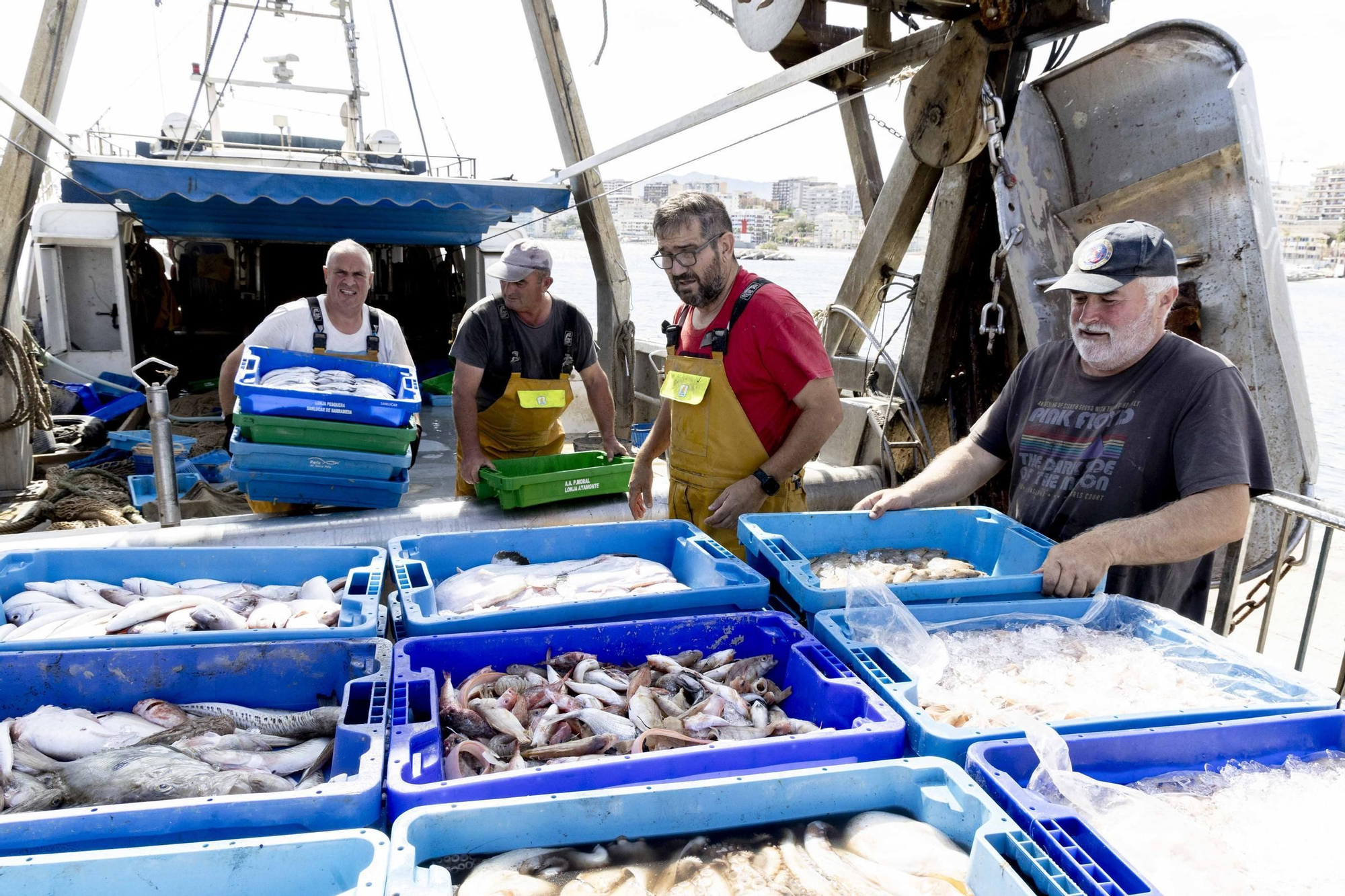La flota de arrastre de Alicante estrena las nuevas redes impuestas por la UE