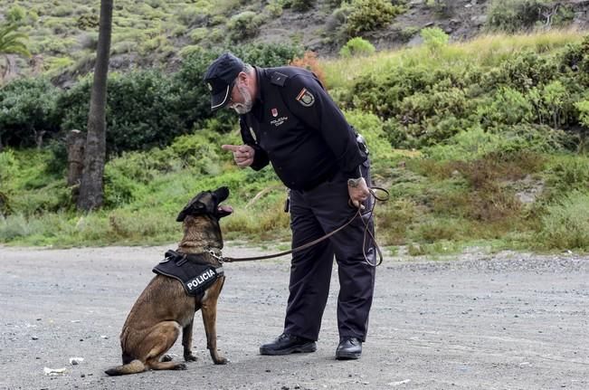 Reportaje a la Unidad Canina de la Policia ...