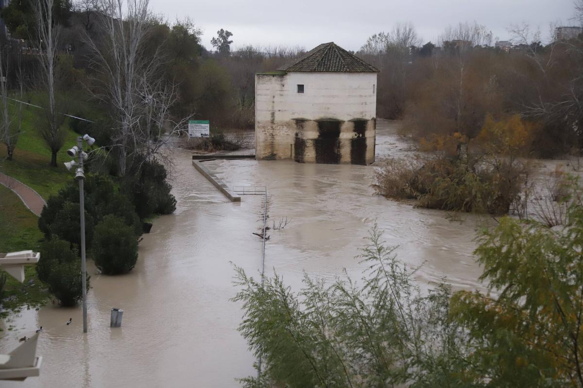 A.J.González Córdoba Borrasca Kristin temporal lluvia El cauce del Guadalquivir en el Puente Romano